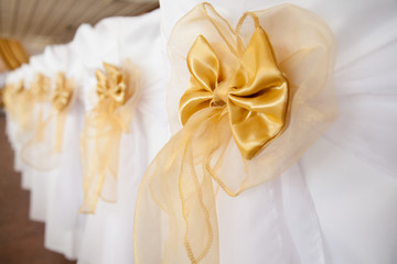 Wedding chairs decorated with golden color ribbon