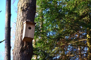ornithologist observed birds