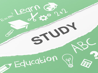 3d torn paper with study