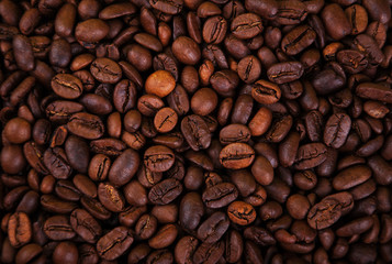 roasted coffee beans