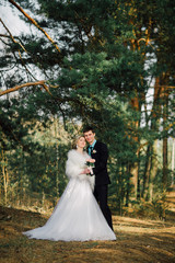 Bride and groom in a park kissing.couple newlyweds bride and groom at a wedding in nature green forest are kissing photo portrait.Wedding Couple
