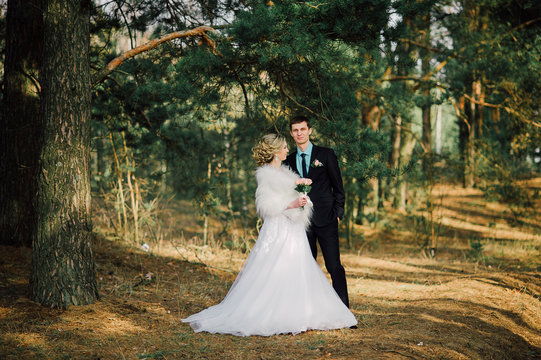 Bride and groom in a park kissing.couple newlyweds bride and groom at a wedding in nature green forest are kissing photo portrait.Wedding Couple