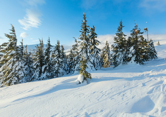 Morning winter mountain landscape (Carpathian).