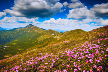 Fototapeta premium Way to Hoverla