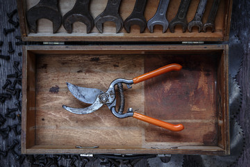 Pruning shears in wooden box