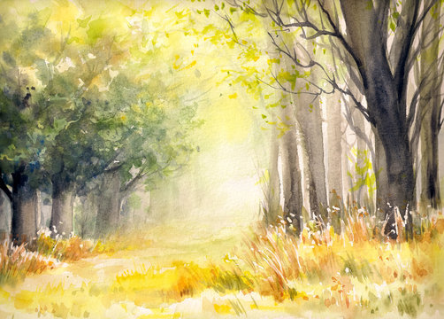 Sunny summer forest.Picture created with watercolors.