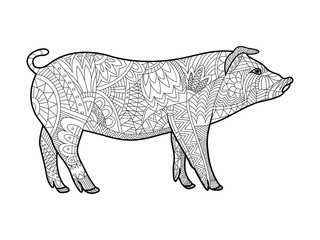 Piggy coloring book for adults vector