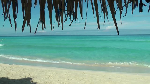 Your place in paradise