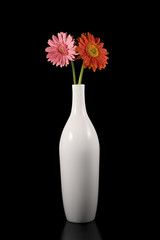 Gerberas