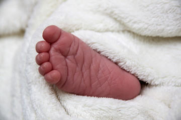 Süße Babyfüße eines zwei Wochen alten Neugeborenen