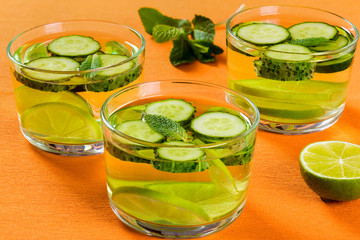 Fat Burning Detox Drink - Sassy Water, close-up