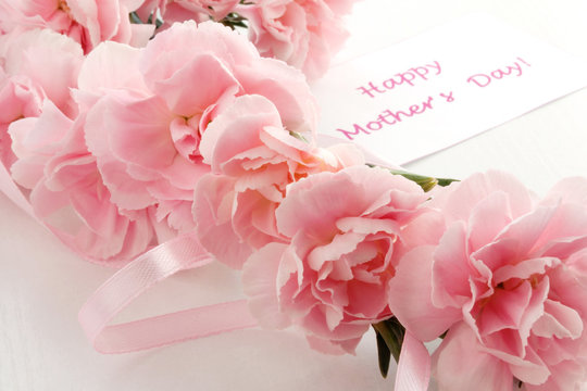 Mother's day card. Bouquet of pink carnations. 