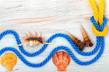 Sea decoration.