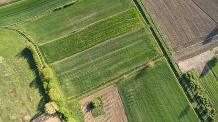 Aerial view of rural agricultural fields