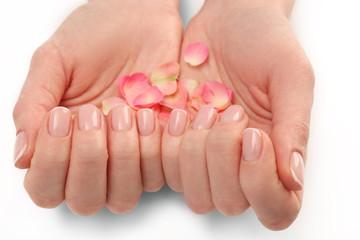 Woman hands with beautiful rose petals on white background, close up