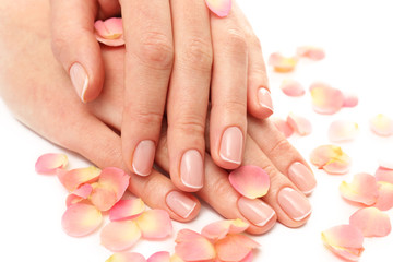 Fototapeta premium Woman hands with beautiful rose petals on white background, close up
