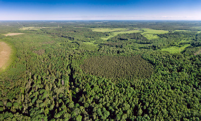 Fototapeta na wymiar The endless green forests with a bird's-eye view.