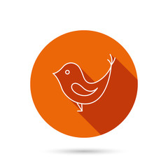 Bird with beak icon. Social media concept sign.