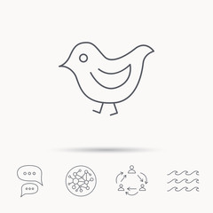 Bird icon. Chick with beak sign.