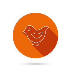 Bird icon. Chick with beak sign.