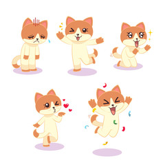 Obraz premium Cat Expressions 5 different of female cat expressions. 
