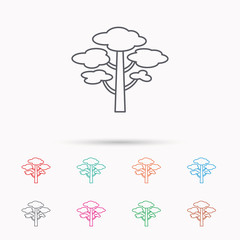 Pine tree icon. Forest wood sign.