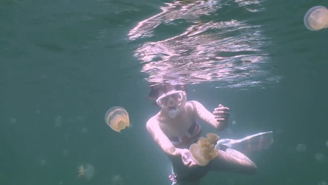 Дайвинг на рифах архипелага Палау. В озере острова Эйл Малк архипелага живут миллионы медуз.