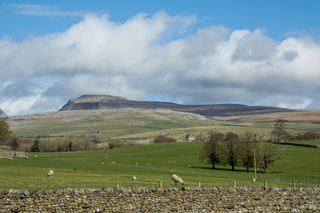 Ingleborough