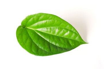 Fototapeta na wymiar betel leaf on white background.