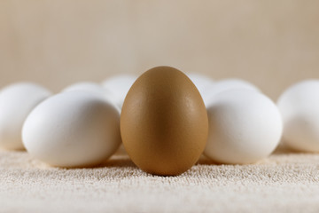 White and brown eggs
