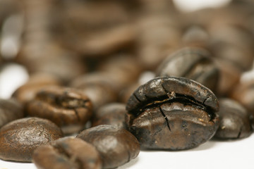 close up fresh coffee beans and isolated on white background , fresh material from market, healthy drink and international drink.