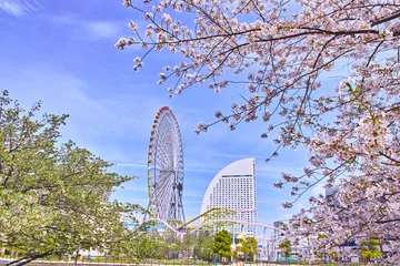Papier Peint photo autocollant Fleur de cerisier 桜と横浜の風景
