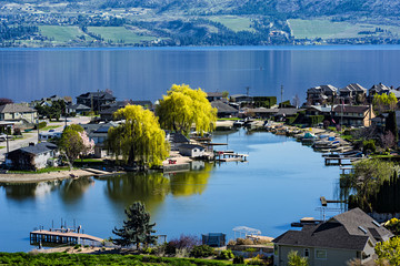 Lakefront Subdivision on Okanagan Lake West Kelowna British Columbia Canada - obrazy, fototapety, plakaty