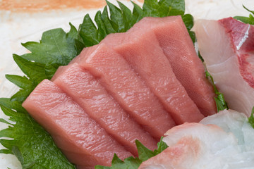マグロの刺身