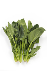 ほうれん草 © kei u