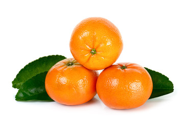 orange fruit isolated on the white background