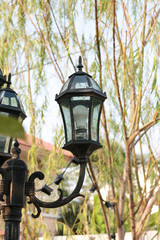 Fototapeta na wymiar Vintage lamp in a garden