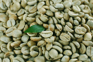 Green coffee beans with green leaf, close up