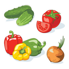 Set of vegetables