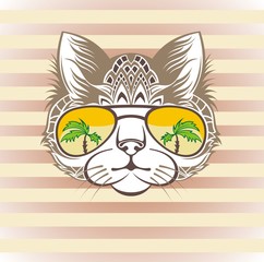 Funny cat portrait with  cool sunglasses, hand drawn graphic, animal illustration, t-shirt design