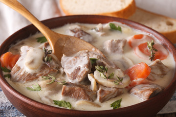 Blanquette of veal in a creamy sauce in a bowl. horizontal
