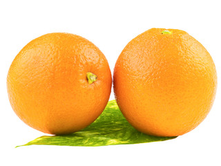 two ripe oranges isolated on white background