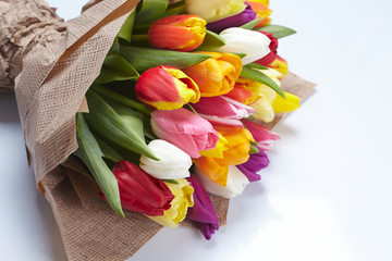 nice tulips