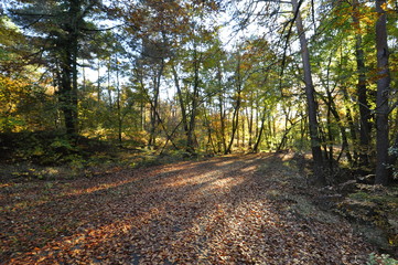 Hauteurs de la Solle