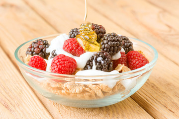 breakfast cereal bowl with berries and yogurt
