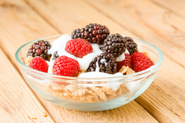 breakfast cereal bowl with berries and yogurt