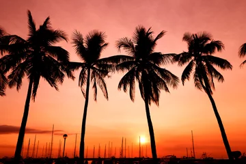 Küchenrückwand glas motiv Meer / Sonnenuntergang Palms in sunset