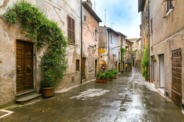 Old streets of greenery a medieval Tuscan town

