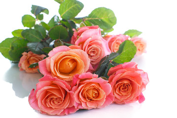 bouquet of pink roses