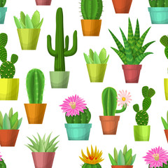 Cactus and succulent seamless pattern. Blossom cacti and succulents in pots on white background. Vector illustration with house plants. 
